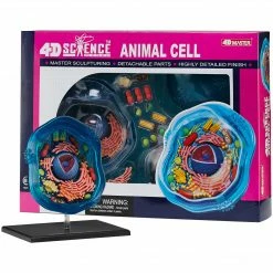 John N. Hansen Co. 4D Science Animal Cell Model