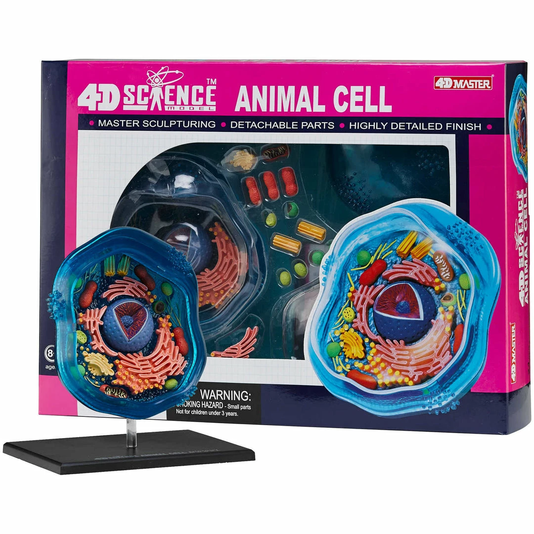 John N. Hansen Co. 4D Science Animal Cell Model 3 John N. Hansen Co. 4D Science Animal Cell Model