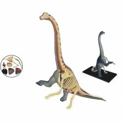 John N. Hansen Co. Puzzles, Games, & Toys 4D Vision Brachiosaurus Anatomy Model
