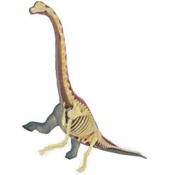 John N. Hansen Co. Puzzles, Games, & Toys 4D Vision Brachiosaurus Anatomy Model