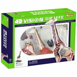 John N. Hansen Co. 4D Vision Giraffe Anatomy Model