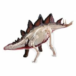 John N. Hansen Co. Puzzles, Games, & Toys 4D Vision Stegosaurus Anatomy Model