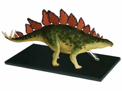 John N. Hansen Co. Puzzles, Games, & Toys 4D Vision Stegosaurus Anatomy Model 5 John N. Hansen Co. Puzzles, Games, & Toys 4D Vision Stegosaurus Anatomy Model