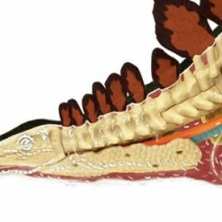 John N. Hansen Co. Puzzles, Games, & Toys 4D Vision Stegosaurus Anatomy Model 13 John N. Hansen Co. Puzzles, Games, & Toys 4D Vision Stegosaurus Anatomy Model