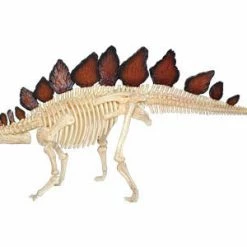 John N. Hansen Co. Puzzles, Games, & Toys 4D Vision Stegosaurus Anatomy Model 14 John N. Hansen Co. Puzzles, Games, & Toys 4D Vision Stegosaurus Anatomy Model