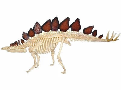 John N. Hansen Co. Puzzles, Games, & Toys 4D Vision Stegosaurus Anatomy Model 8 John N. Hansen Co. Puzzles, Games, & Toys 4D Vision Stegosaurus Anatomy Model