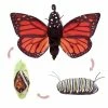 Folkmanis Puzzles, Games, & Toys Monarch Life Cycle Puppet
