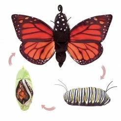 Folkmanis Puzzles, Games, & Toys Monarch Life Cycle Puppet