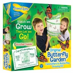 InsectLore Insect Lore Original Butterfly Garden